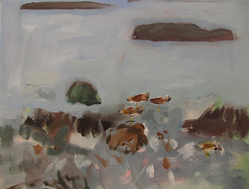 turnstones - paintings from field-sketches