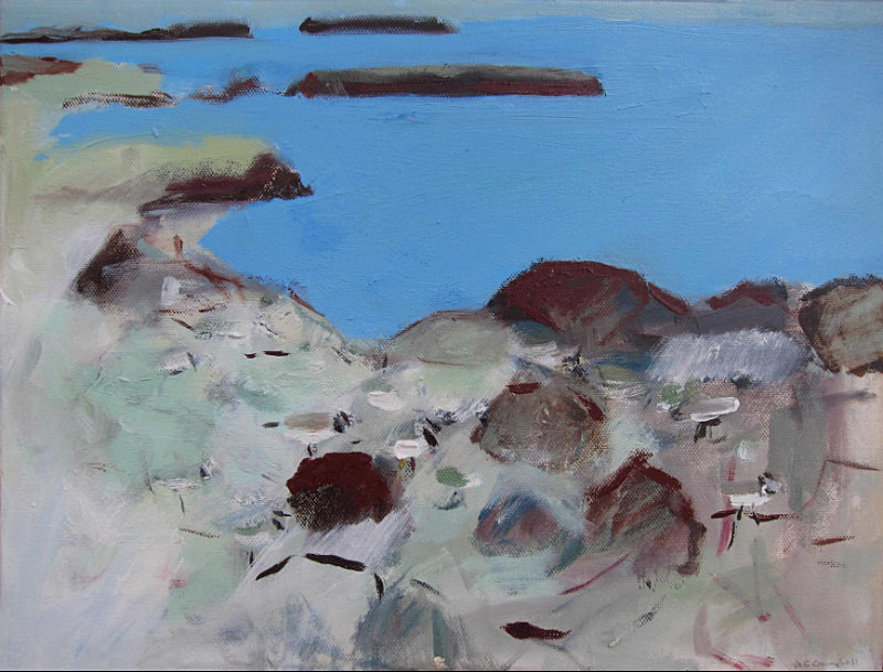 ringed plover on the shoreline in snow - paintings from field-sketches