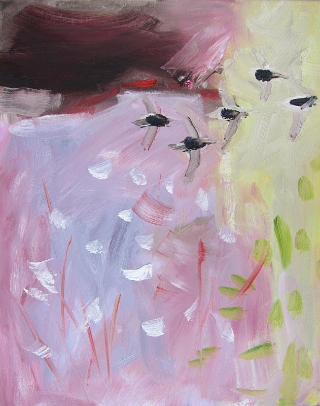 dunlin and bog-cotton - paintings from field-sketches