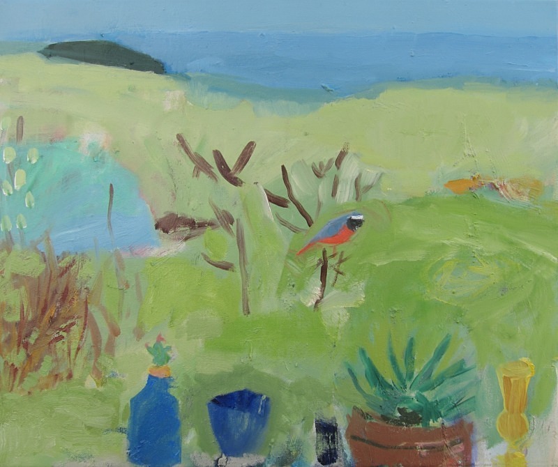the redstart - paintings from field-sketches