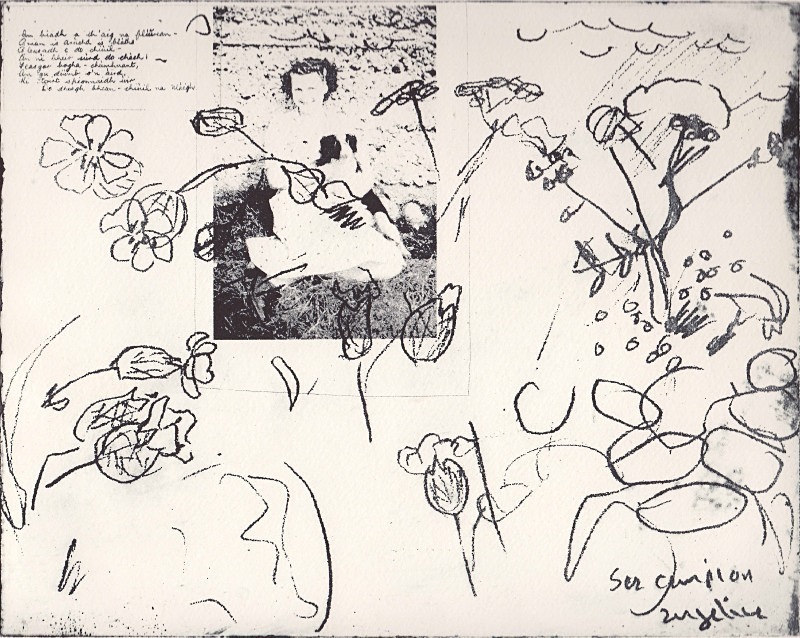 'am biadh a th'aig na flùirean' - photopolymer etchings