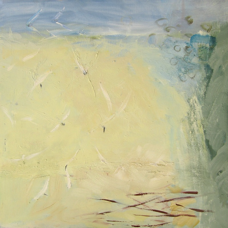 terns - paintings from field-sketches