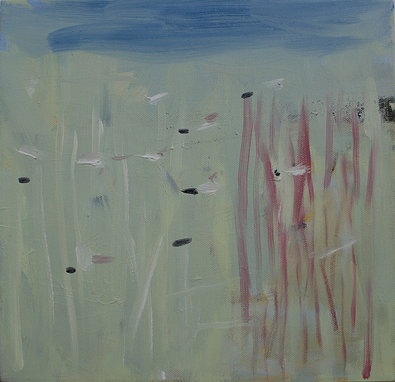 Buntings - paintings from field-sketches
