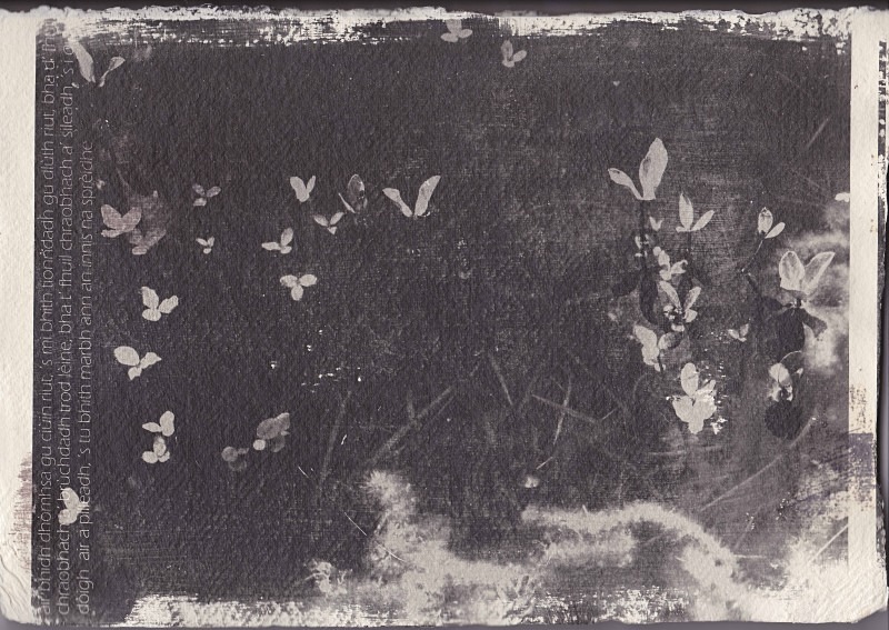 ‘’S tu bhi marbh ann an innis na sprèidhe’ - astar: silver gelatin photographs