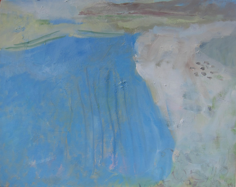 high tide ringed plover - paintings from field-sketches
