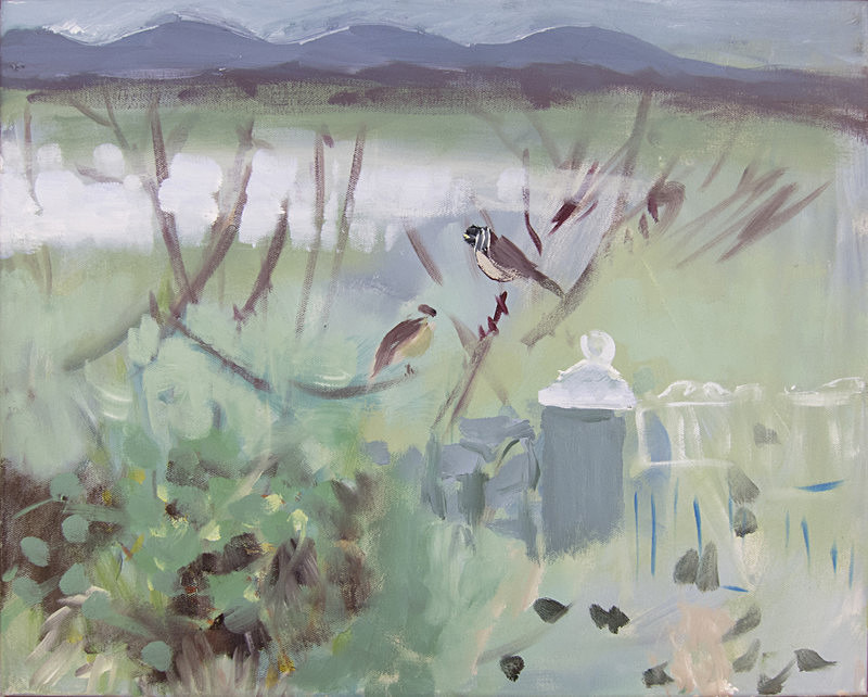 reed buntings, Beanntan Bharabhais - paintings from field-sketches