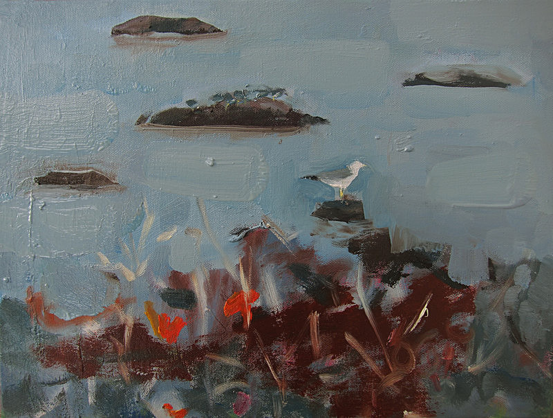 lesser black backed gull - paintings from field-sketches