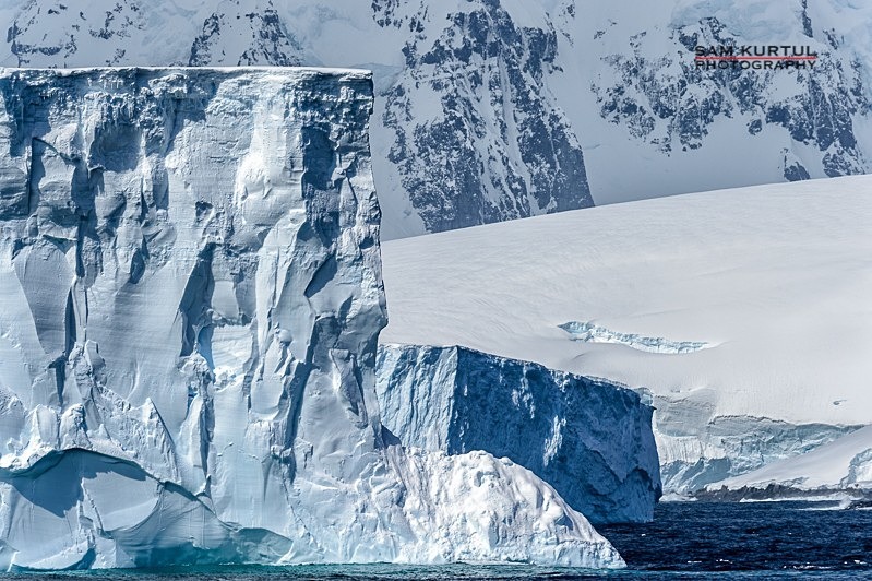 _DSC8398 - Antartica