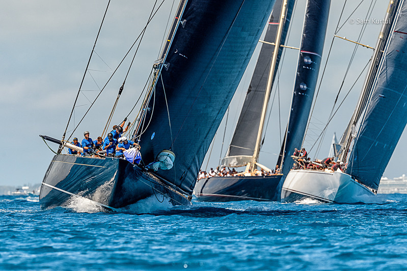 _DSC1464 - America's Cup J Class Regatta