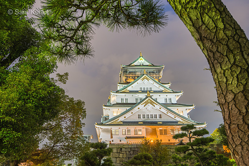 _DSC6698 - Japan_2016