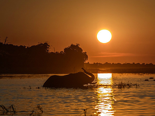 _DSC1719-2 - Chobe Botswana
