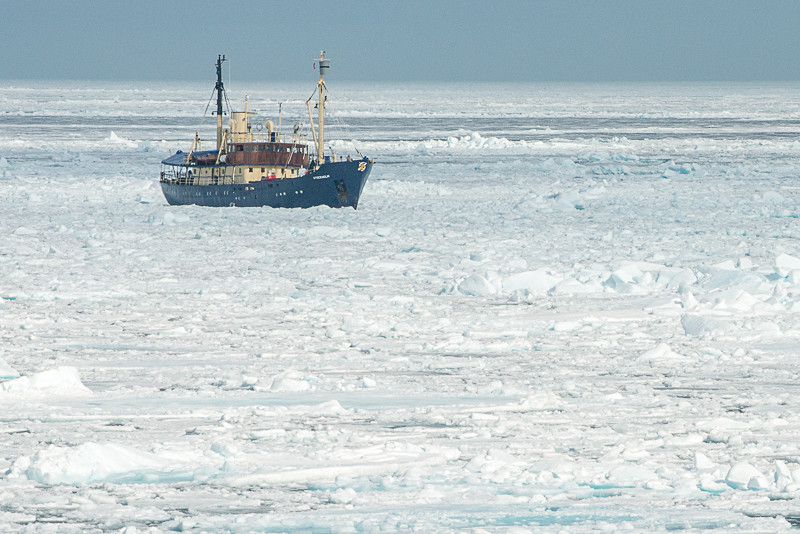  - Spitsbergen