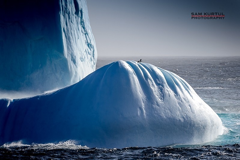 _DSC0137 - Antartica