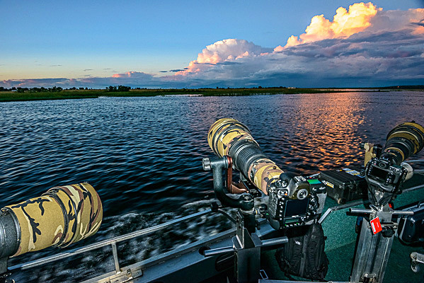 _DSC2279 - Chobe Botswana