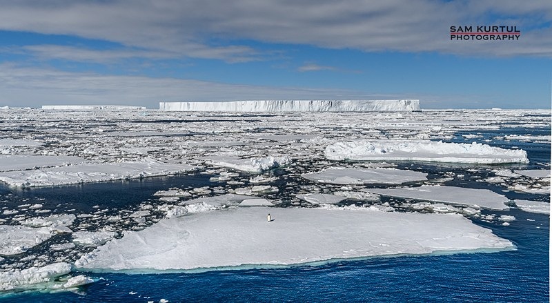 _D850882 - Antartica