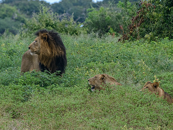 _DSC2115 - Chobe Botswana