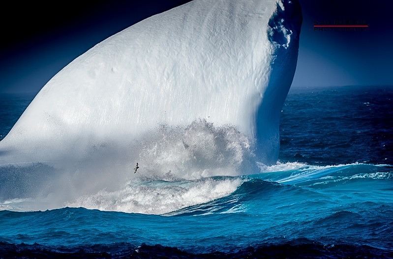 _DSC0429 - Antartica