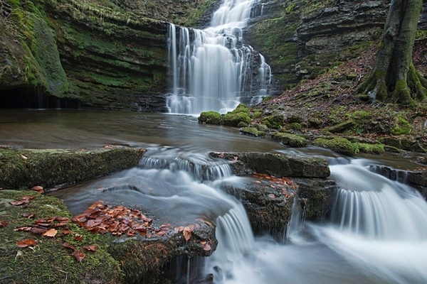 Scalebar Force. - European Landscape