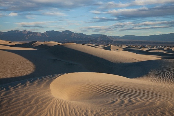 Rhythms in the sand. - American Landscape