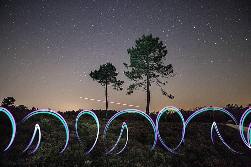 Two Trees - Light Painting