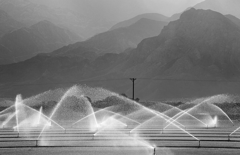 Mono American Sprinklers - Monochrome Landscape America