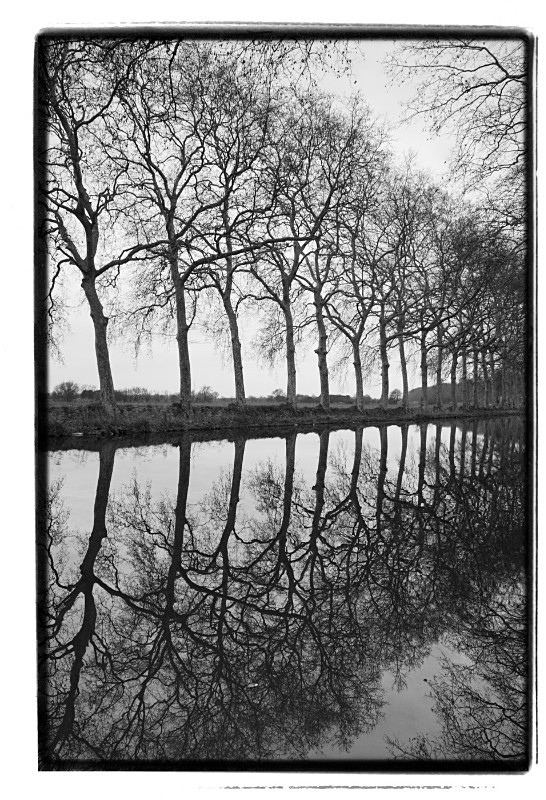 Canal France - Monochrome Landscape Europe