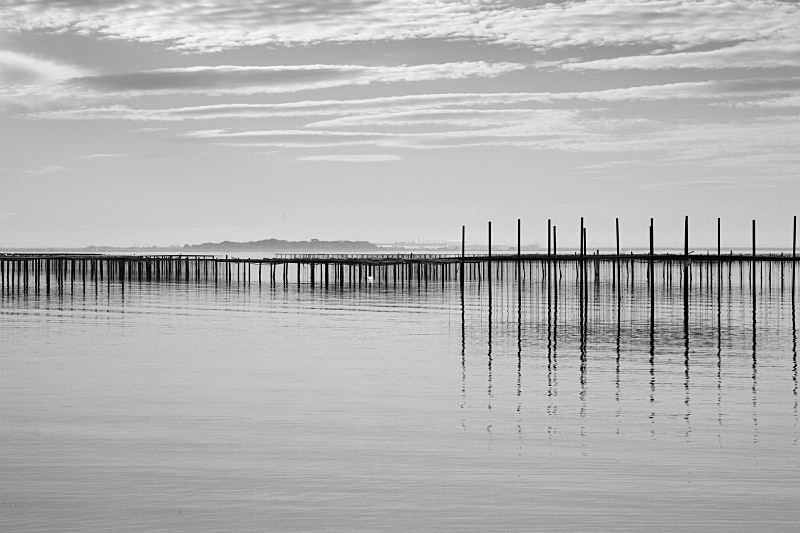Oyster beds No1 - Monochrome Landscape Europe