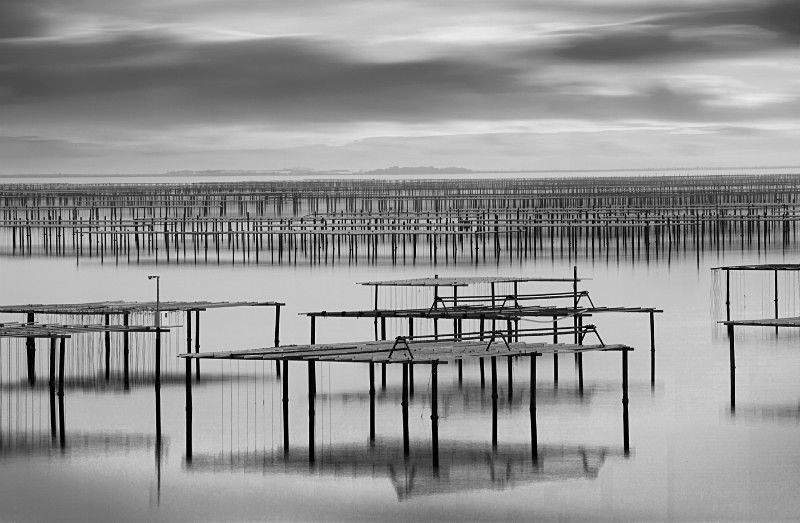 Oyster Beds No 3 - Monochrome Landscape Europe