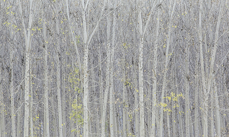 Andalusia November 2015 - European Landscape