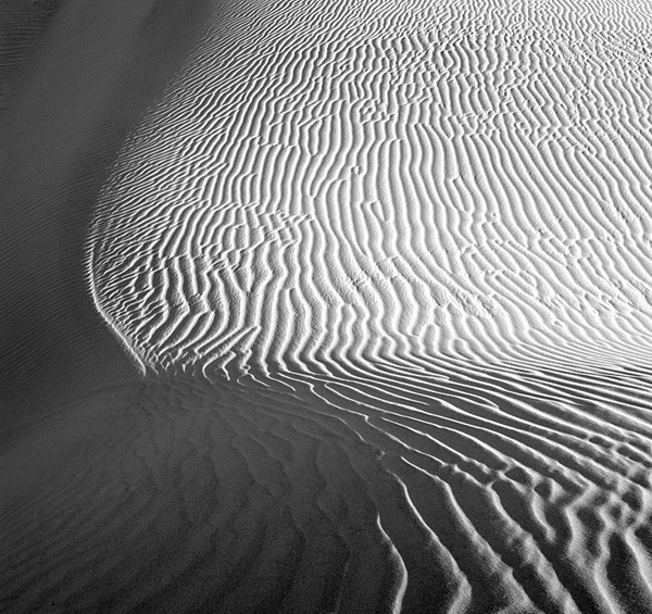 Death Valley, detail 2. - Monochrome Landscape America