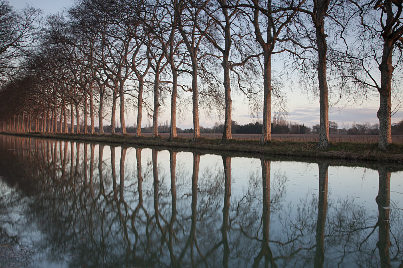 French Canal - European Landscape