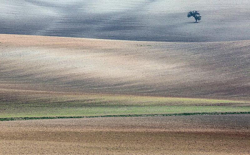Empty fields; Andalusia. - European Landscape