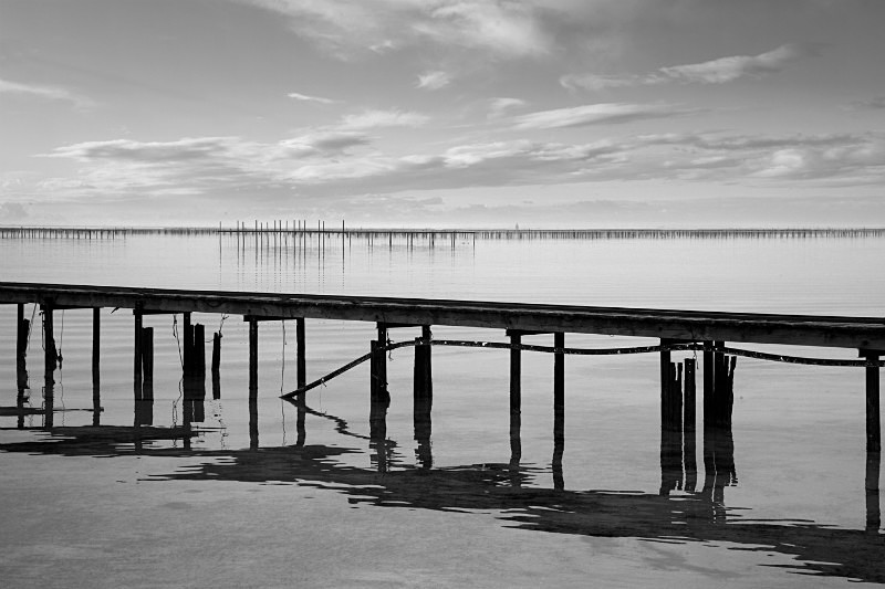 Oyster Beds No 2 - Monochrome Landscape Europe