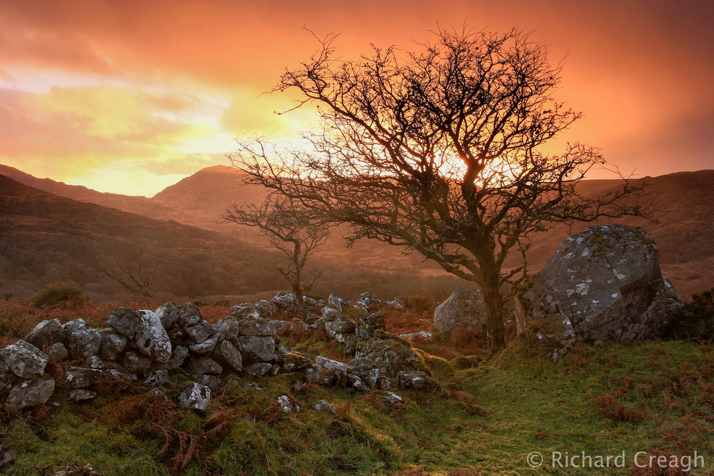 Sky Fire - Ireland