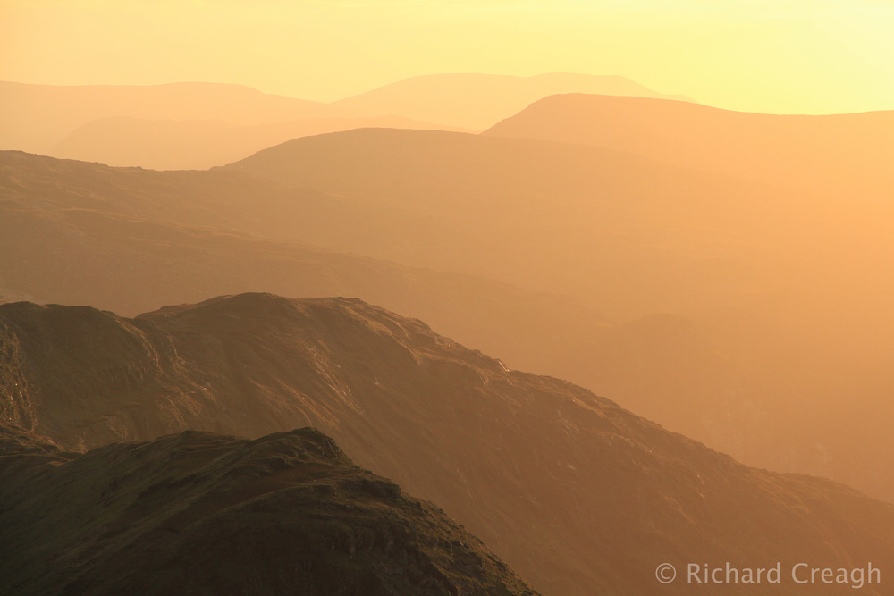 Mountain Gold - Ireland
