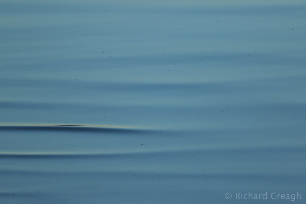 Wavelets - Detail