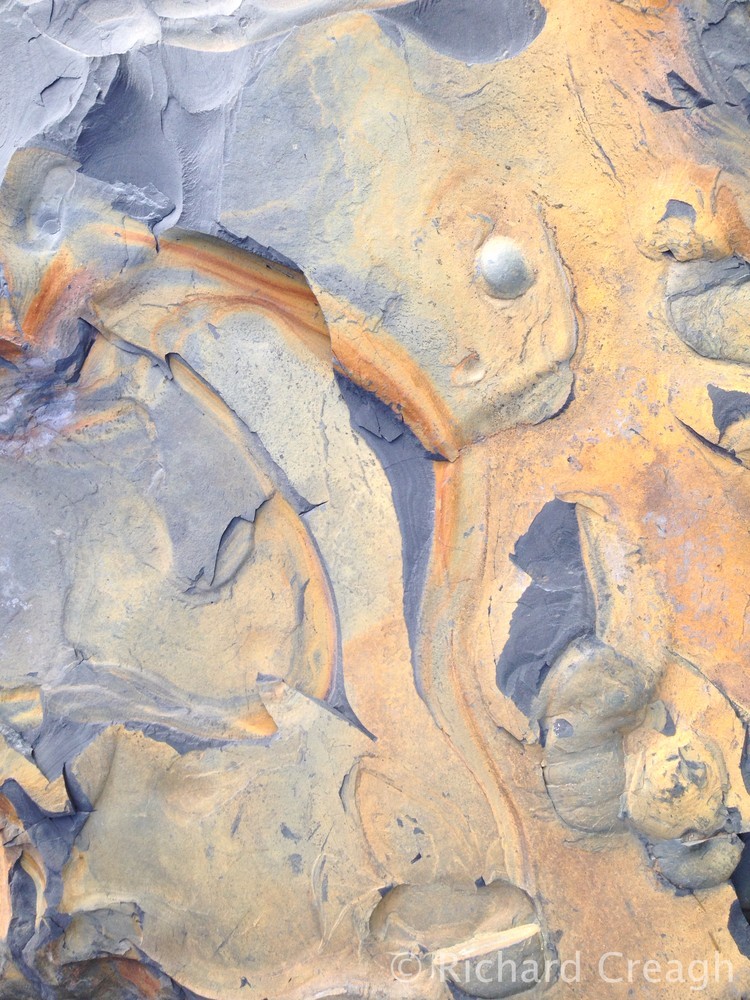 Shale Detail - Detail