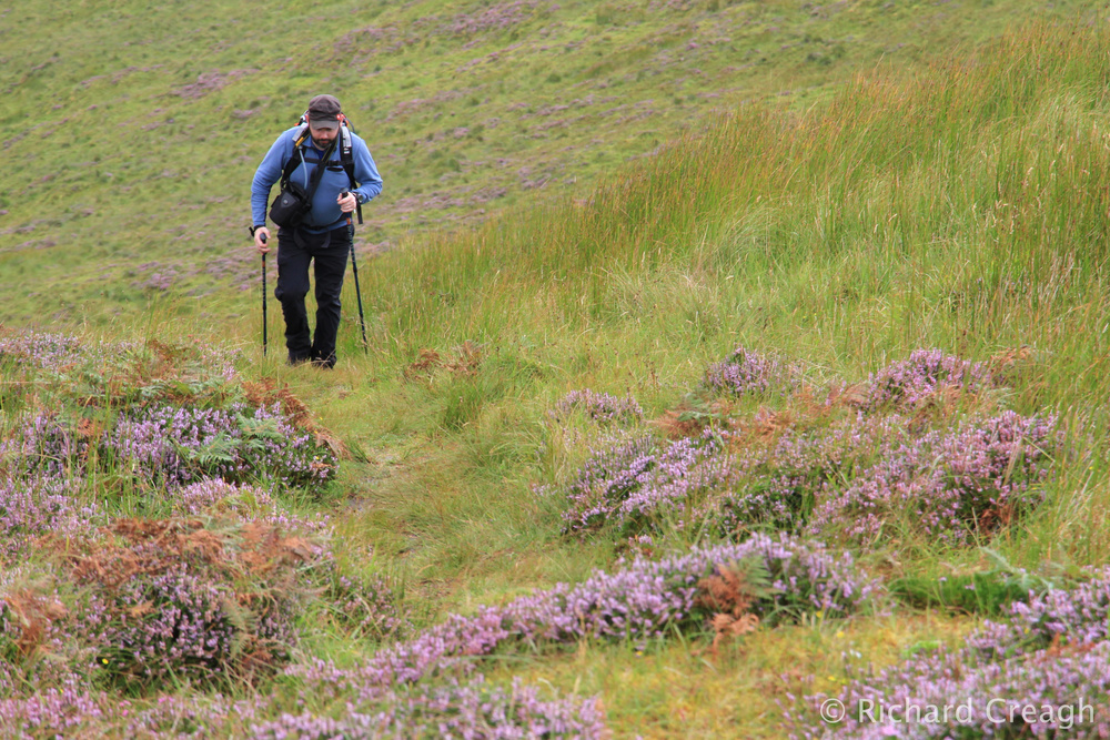 Walking in Heather - Adventure