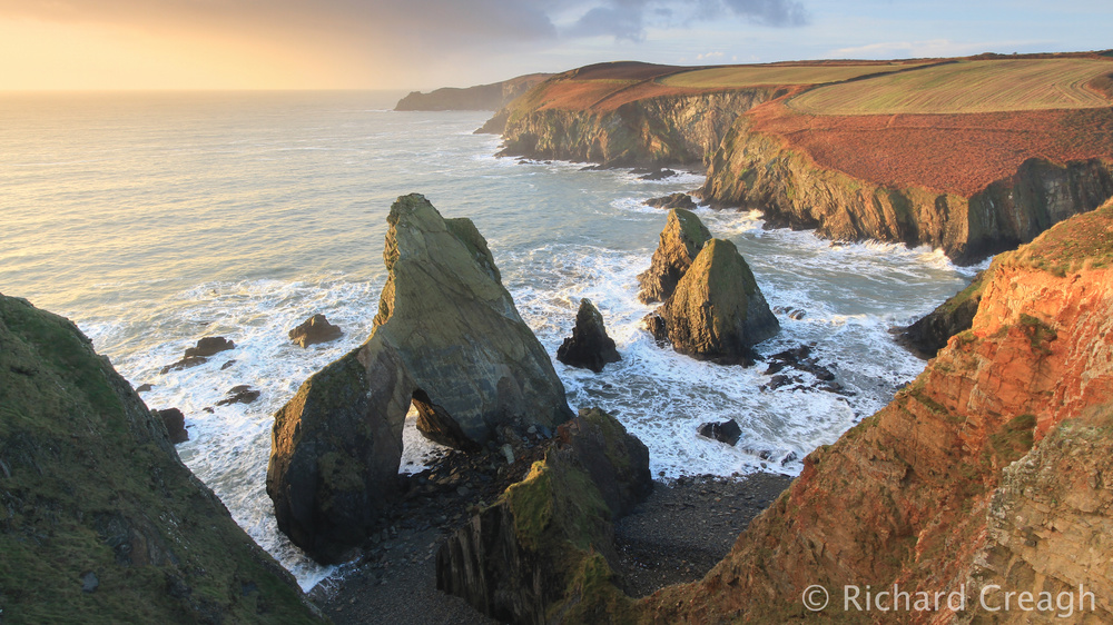 Winter Morning, Nohoval - Ireland
