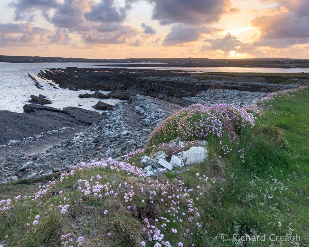 Rinevella Summer - Ireland