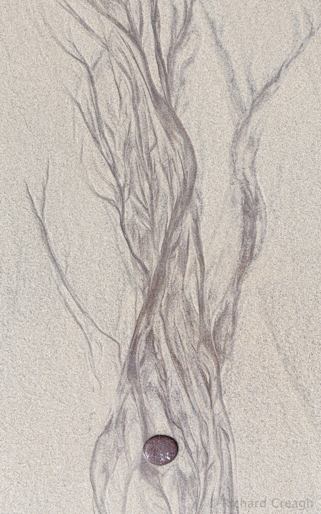 Ventry Sand Tree - Detail