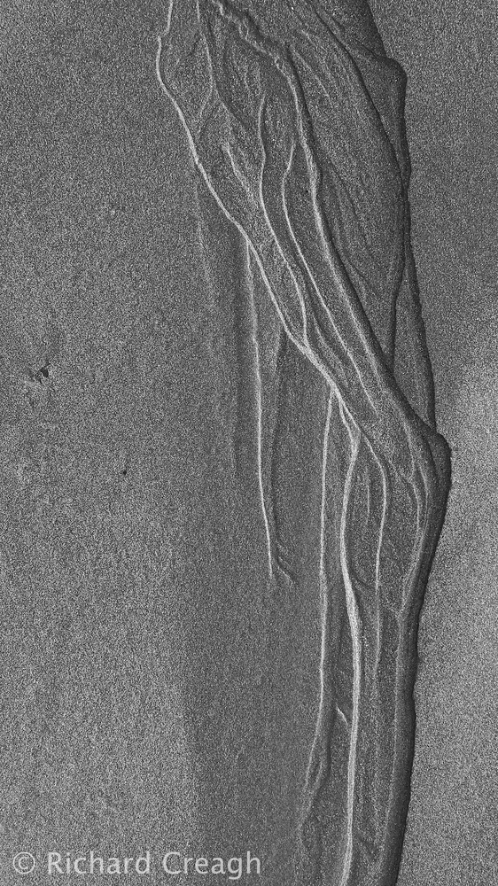 Sand Leg - Detail