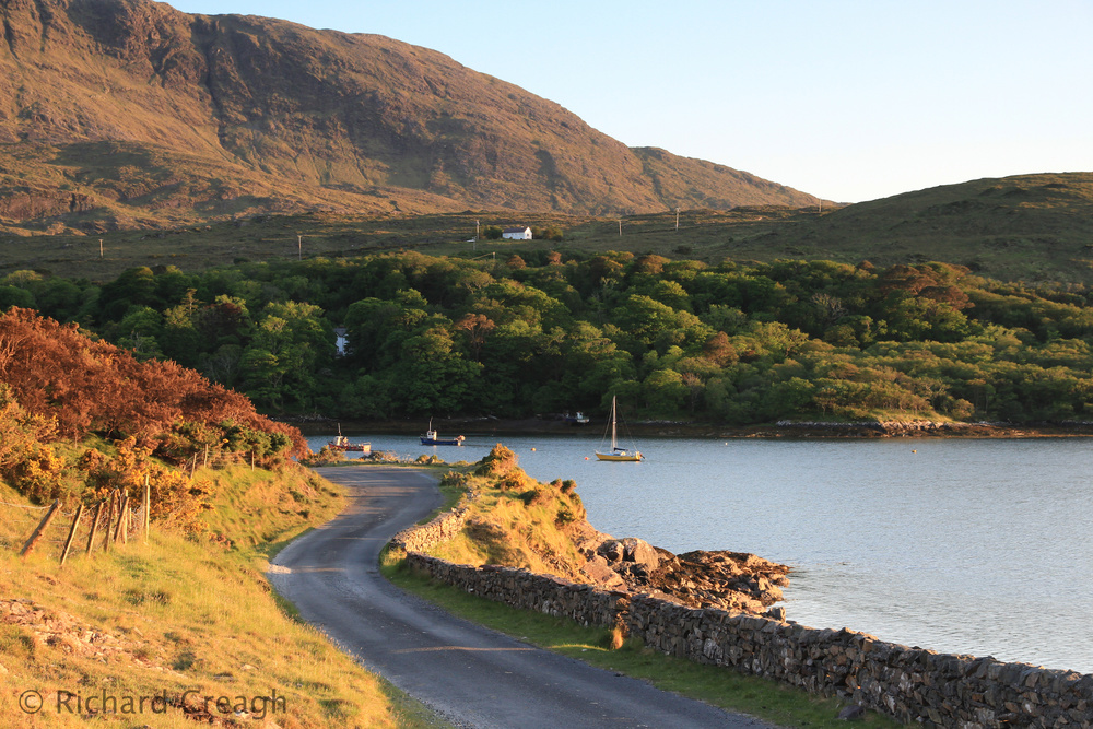The Bend in the Road - Ireland