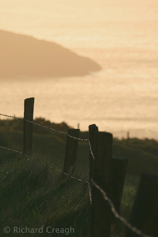 Fence Posts at Sunset - Detail