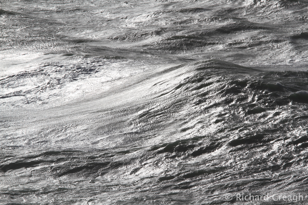 Silver Sea - Detail