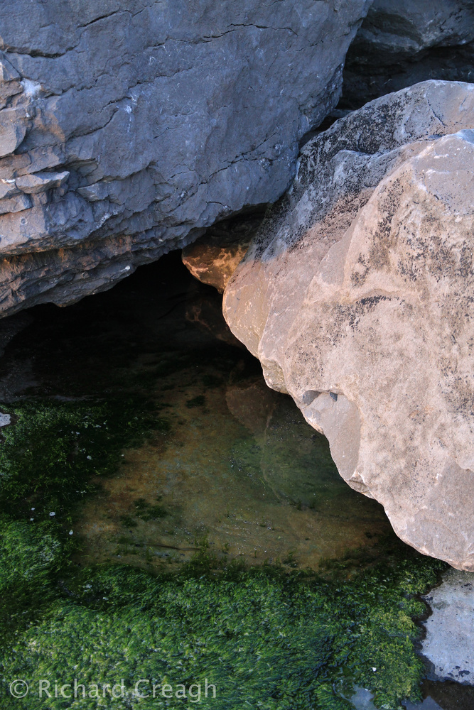 Boulders - Detail