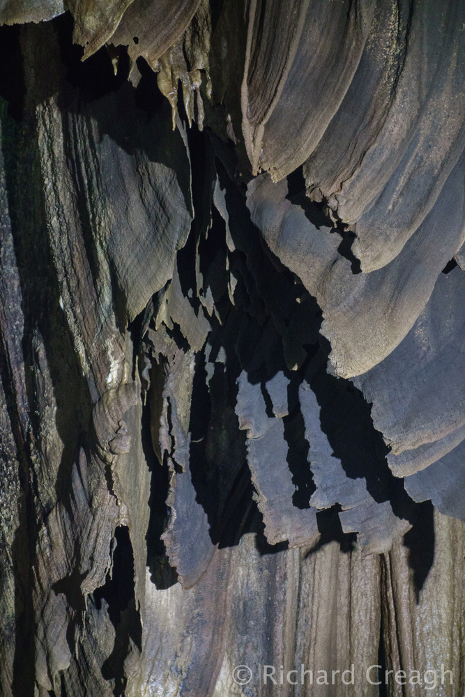 Butterfly Wings - Detail