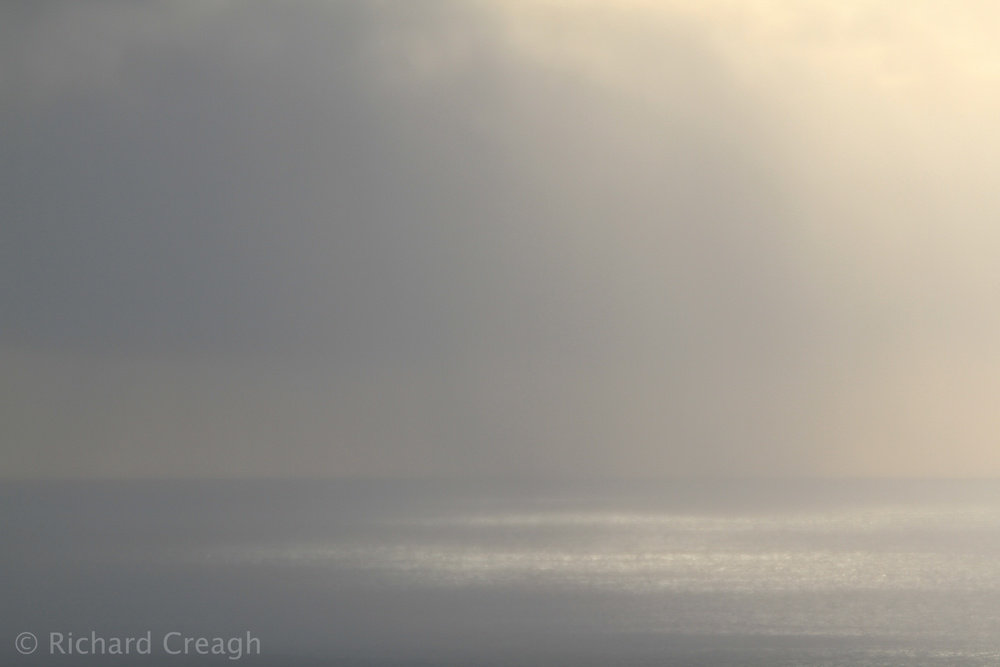 Sun Through a Shower - Detail