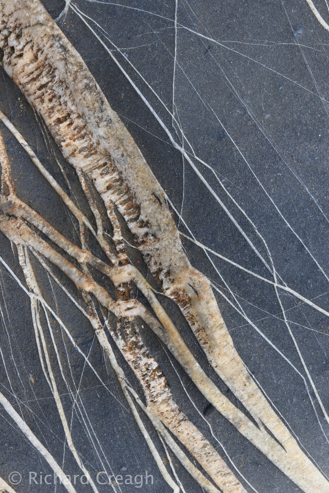 Quartz Bolt - Detail