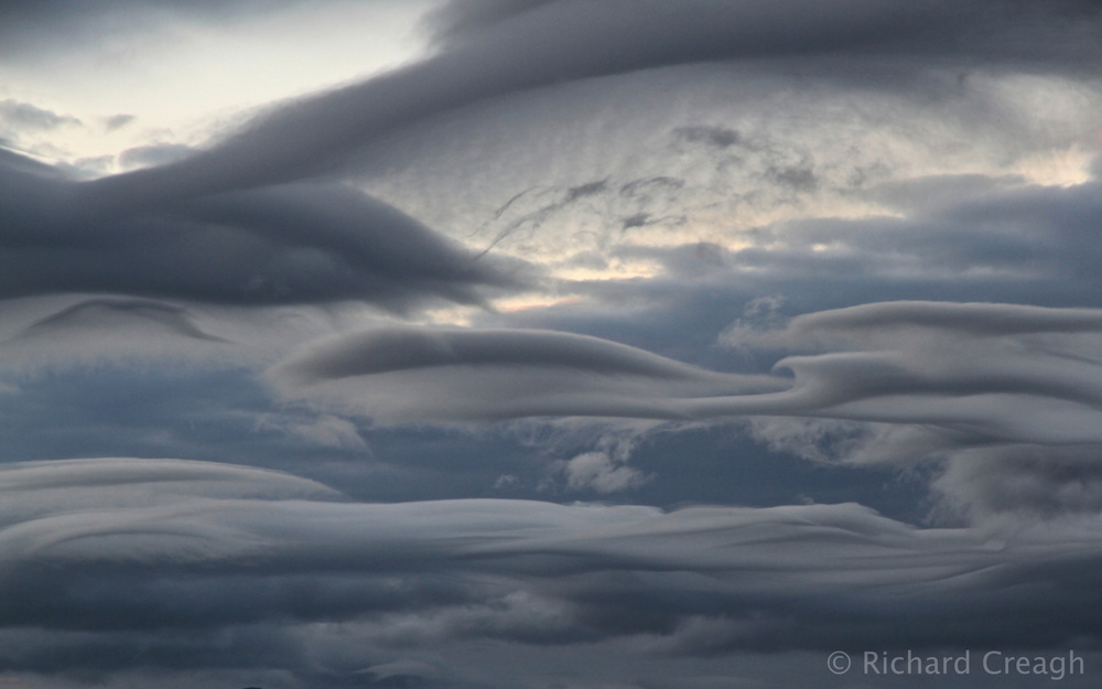 Crazy Cloud - Detail